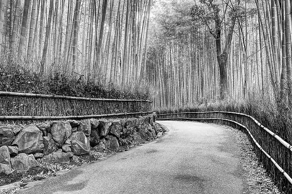 Asia, Japan, Kyoto. Walkway through Arashiyama Bamboo Grove
