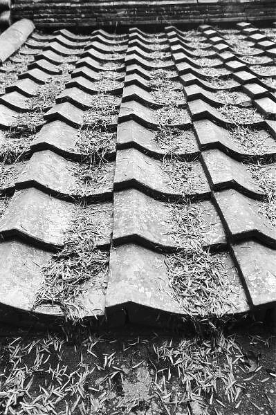 Asia, Japan, Miyajima. Clay roof detail