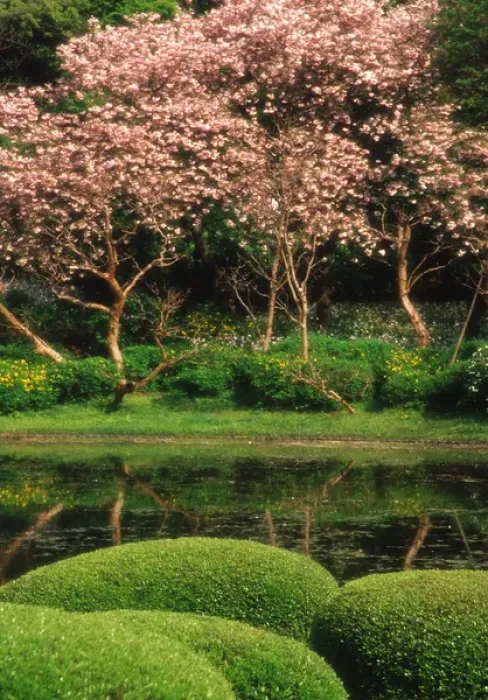 Framed Print : Asia, Japan, Tokyo. Reflecting pond, Imperial Palace East Gardens Framed Print : Asia, Japan, Tokyo. Reflecting pond, Imperial Palace East Gardens