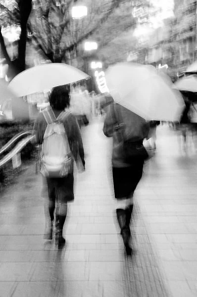 Asia, Japan, Tokyo. Young women and umbrellas. Omote Sando Aoyama