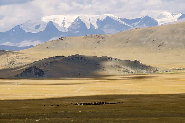Asia, Mongolia, Western Mongolia, Khovd Province, Altan Hokhii, mountins, high desert valley