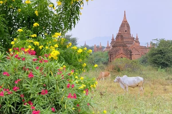 Asia, Myanmar (Burma)