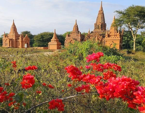 Asia, Myanmar (Burma), Bagan (Pagan). A Bagan temple complex