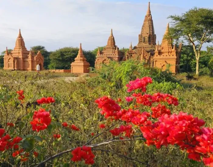 Framed Print : Asia, Myanmar (Burma), Bagan (Pagan). A Bagan temple complex