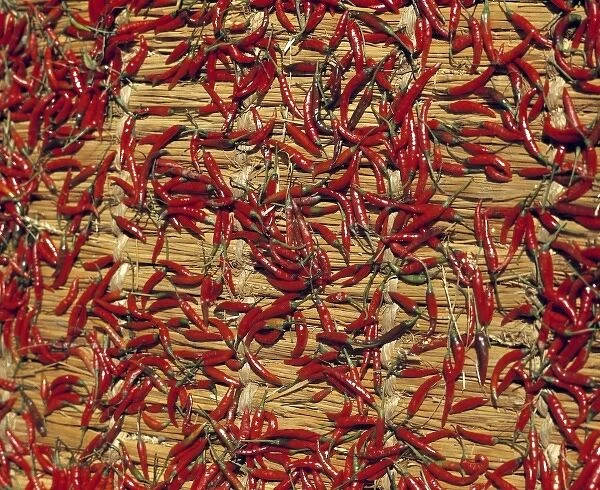 Asia, Nepal, Kathmandu. Red chilies dry on straw mats in a courtyard in Kathmandu