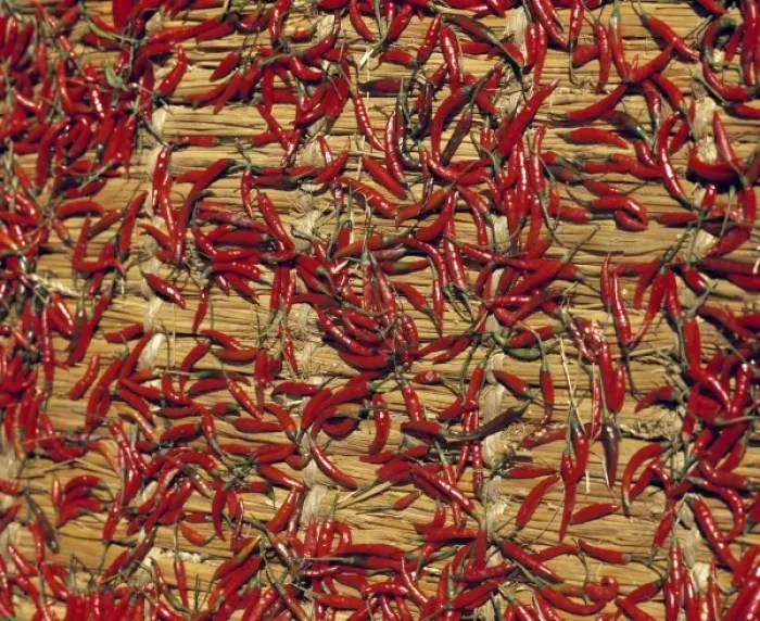 Framed Print : Asia, Nepal, Kathmandu. Red chilies dry on straw mats in a courtyard in Kathmandu