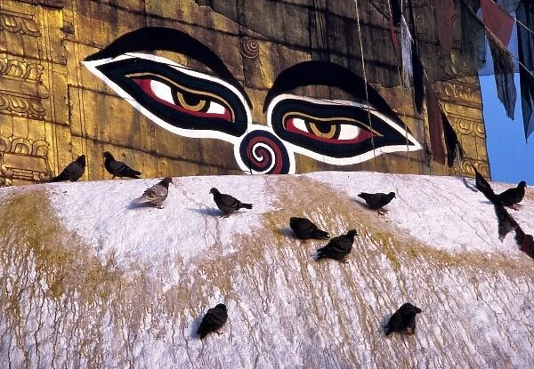 Asia, Nepal, Kathmandu Valley. Pigeons cover the stupa at Swayambunath near Kathmandu