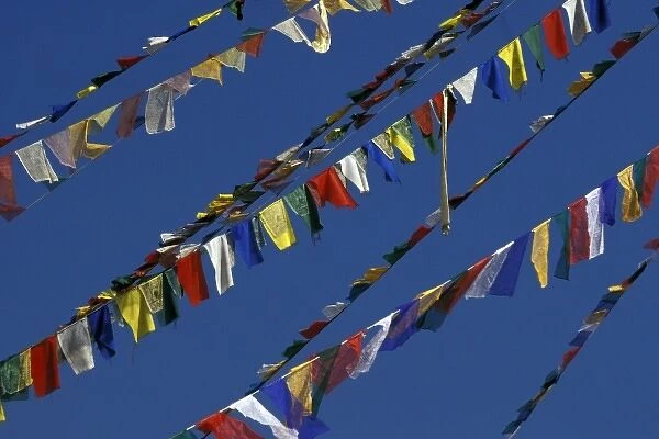Asia, Nepal, Khatmandu. Bouddhanath Stupa, flags