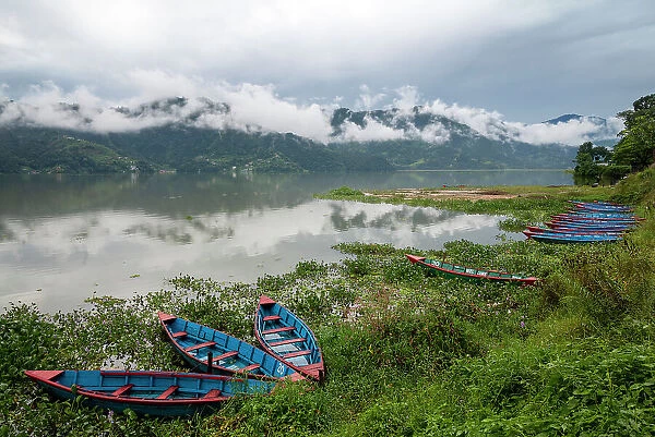 Asia, Nepal, Pokhara. Boats in the water lilies on Phewa Lake