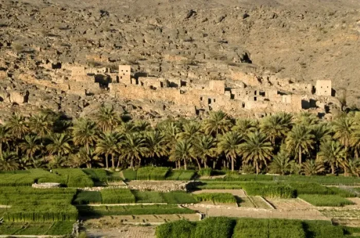 Framed Print : Asia, Oman Framed Print : Asia, Oman