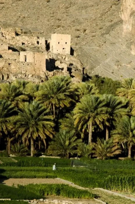 Framed Print : Asia, Oman Framed Print : Asia, Oman