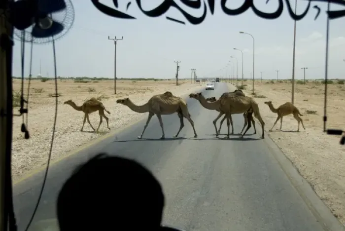 Framed Print : Asia, Oman