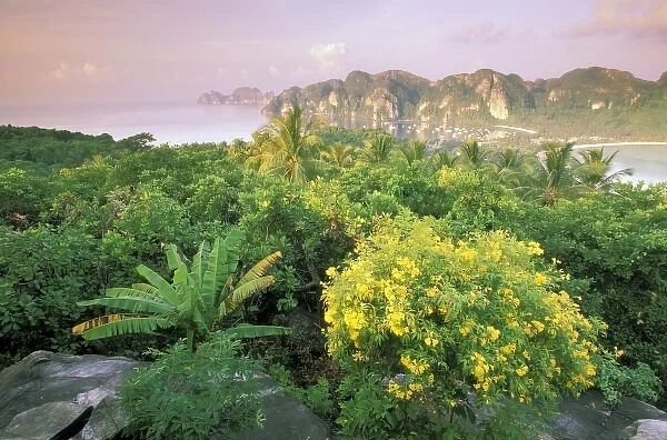Asia, Thailand, Ko Phi Phi Island