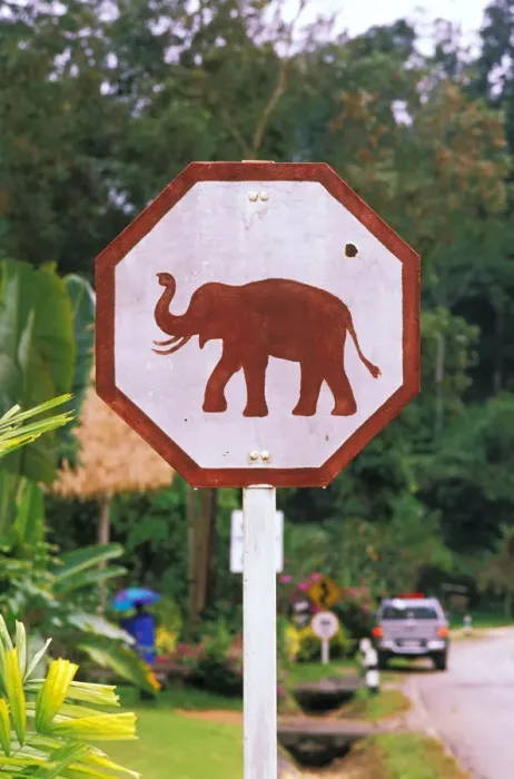 Framed Print : Asia, Thailand, Lampang. Elephant Conservation Center, elephant crossing sign Framed Print : Asia, Thailand, Lampang. Elephant Conservation Center, elephant crossing sign