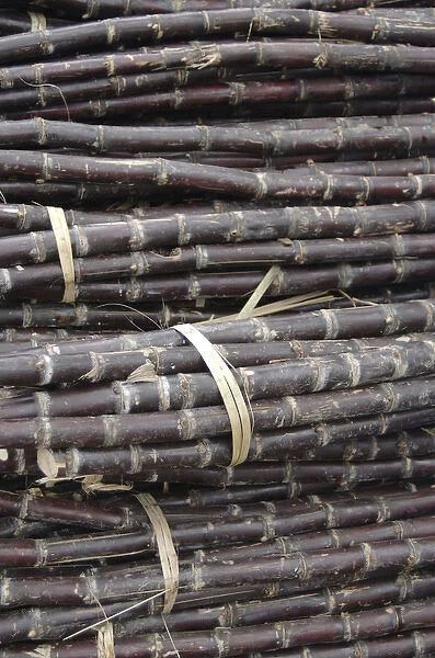 Asia, Vietnam. Bundled sugar cane for sale at the Dong Ba Market, Hue, Thua Thiena'Hue