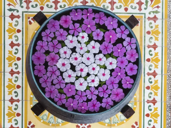 Framed Print : Asia, Vietnam, Mui Ne. Pink and white flowers floating on water in a large pot Framed Print : Asia, Vietnam, Mui Ne. Pink and white flowers floating on water in a large pot