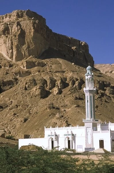 Asia, Yemen, Tarim. White mosque