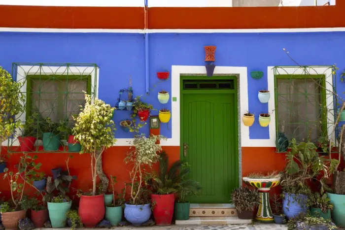 Framed Print : Asilah, Morocco, Multi-colored house with potted plants Framed Print : Asilah, Morocco, Multi-colored house with potted plants