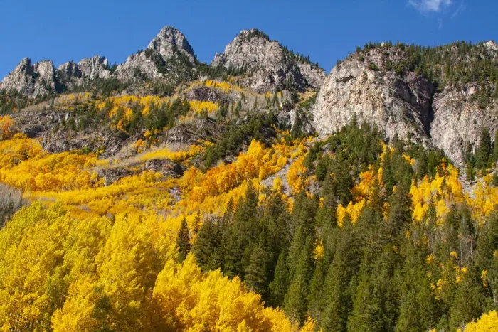 Framed Print : Aspen, Colorado. Maroon Bells-Snowmass Wilderness Framed Print : Aspen, Colorado. Maroon Bells-Snowmass Wilderness