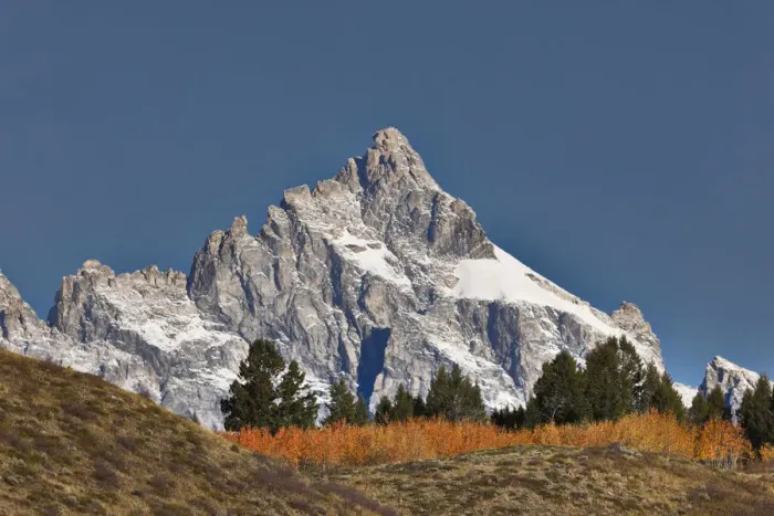 Framed Print : Aspen grove in front of Teton Range, Grand Teton National Park, Wyoming Framed Print : Aspen grove in front of Teton Range, Grand Teton National Park, Wyoming