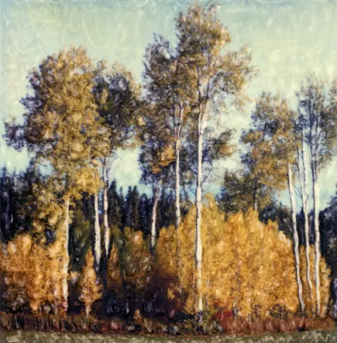 Framed Print : Aspen trees in the fall. Polaroid SX70 Manipulation Framed Print : Aspen trees in the fall. Polaroid SX70 Manipulation