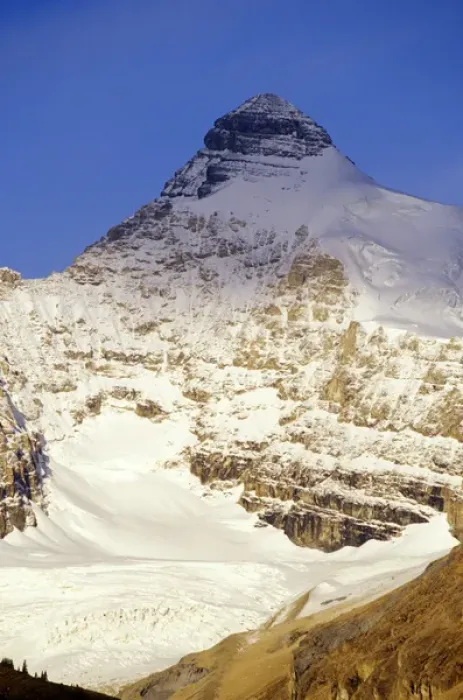 Framed Print : Athabasca Peak in the Canadian Rockies Framed Print : Athabasca Peak in the Canadian Rockies