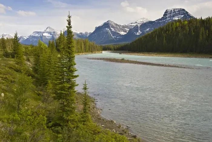Framed Print : Athabasca River, Jasper National Park, Alberta, Canada, with Rocky Mountains in background Framed Print : Athabasca River, Jasper National Park, Alberta, Canada, with Rocky Mountains in background
