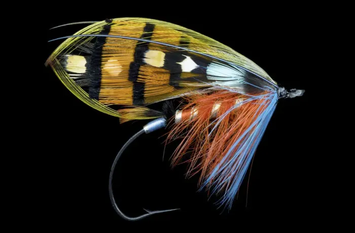 Framed Print : Atlantic Salmon Fly designs Framed Print : Atlantic Salmon Fly designs