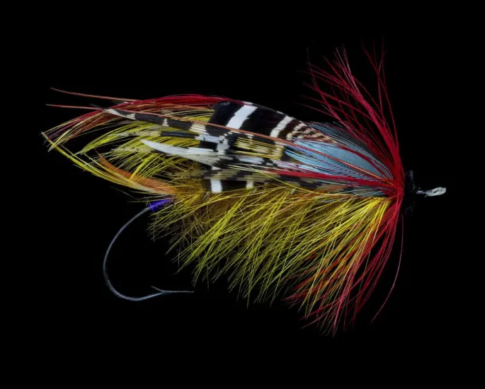 Framed Print : Atlantic Salmon Fly designs Framed Print : Atlantic Salmon Fly designs