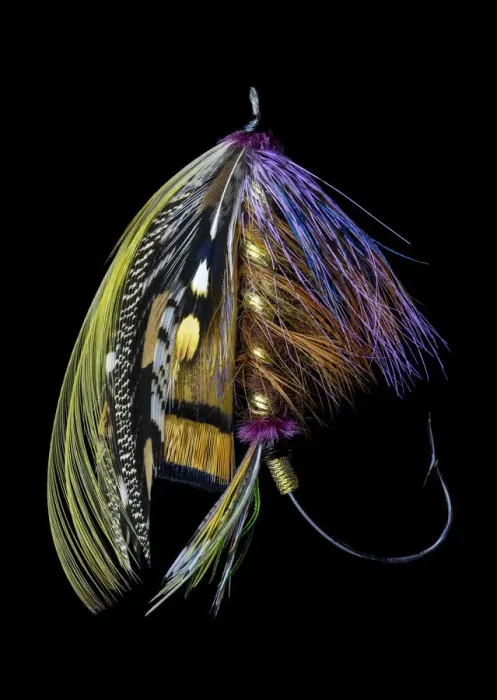 Framed Print : Atlantic Salmon Fly designs Blacker Unknown variant #2