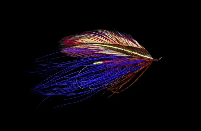 Framed Print : Atlantic Salmon Fly designs Iris Spey