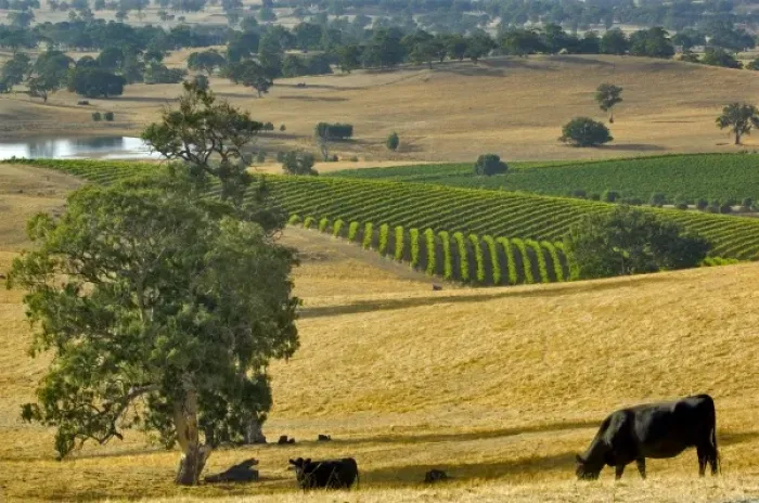 Framed Print : Australia. Mountadam vineyard winery on High Eden Road near Eden Valley Framed Print : Australia. Mountadam vineyard winery on High Eden Road near Eden Valley