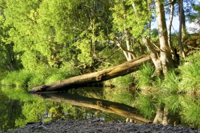 Framed Print : Australia. Nimbin, Australia. A scenic river reflection in the countryside Framed Print : Australia. Nimbin, Australia. A scenic river reflection in the countryside