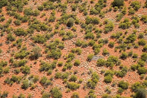 Australia. Desert Bushes and Red Sand, Uluru - Kata Tjuta National Park