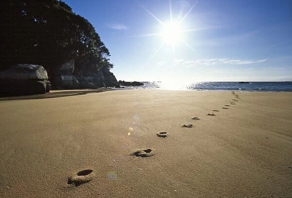 Australia. Footprints in the sand, Mosquito Bay, Abel Tasman National Park