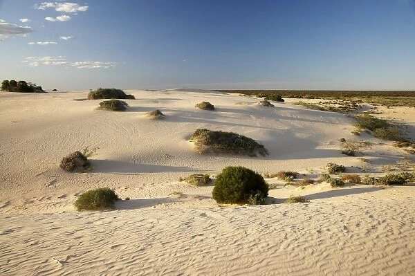 Australia. Sand Dunes, Mungo National Park, Outback New South Wales, Australia