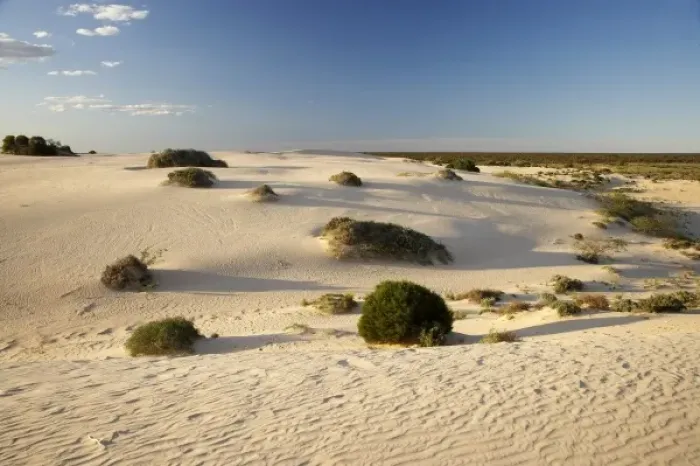 Framed Print : Australia. Sand Dunes, Mungo National Park, Outback New South Wales, Australia