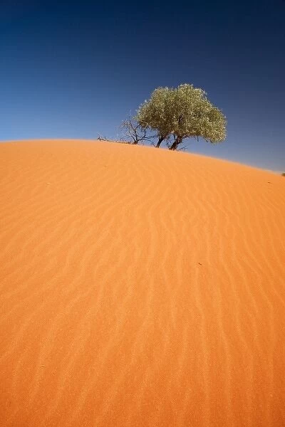 Australia. Sand Dunes, Strzelecki Track, Outback, South Australia, Australia