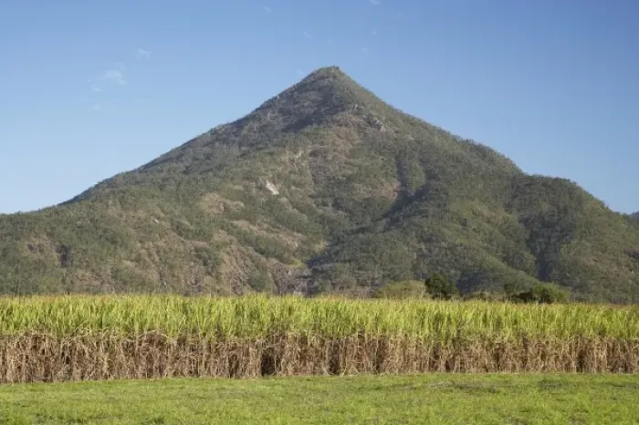 Framed Print : Australia. Sugar Cane Fields and Walshs Pyramid