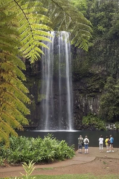 Australia. Millaa Millaa Falls, Atherton Tableland, Queensland, Australia