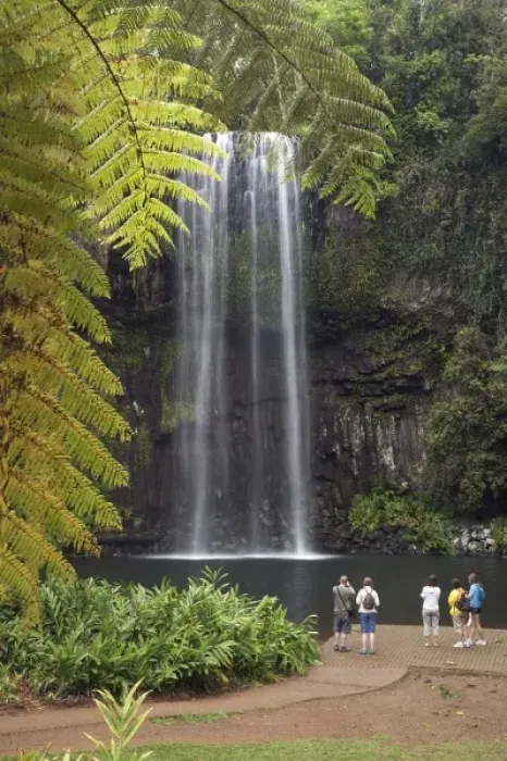 Framed Print : Australia. Millaa Millaa Falls, Atherton Tableland, Queensland, Australia Framed Print : Australia. Millaa Millaa Falls, Atherton Tableland, Queensland, Australia