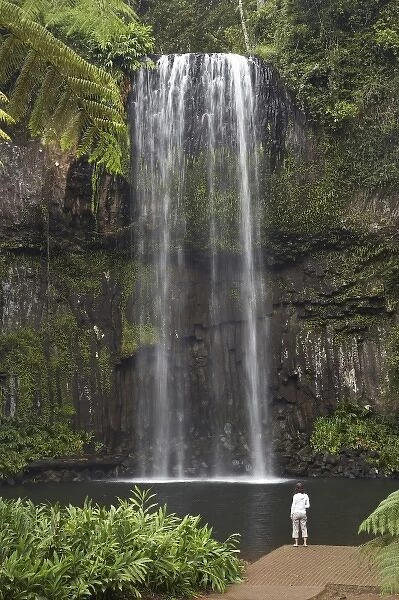Australia. Millaa Millaa Falls, Atherton Tableland, Queensland, Australia