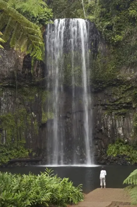 Framed Print : Australia. Millaa Millaa Falls, Atherton Tableland, Queensland, Australia Framed Print : Australia. Millaa Millaa Falls, Atherton Tableland, Queensland, Australia