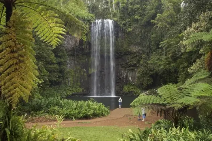 Framed Print : Australia. Millaa Millaa Falls, Atherton Tableland, Queensland, Australia