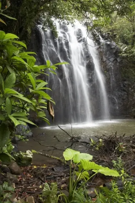Framed Print : Australia. Elinjaa Falls, near Millaa Millaa, Atherton Tableland, Queensland, Australia