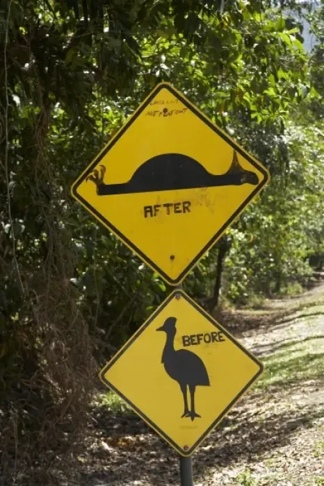 Framed Print : Australia. Altered Cassowary and Road Hump Signs, Daintree National Park Framed Print : Australia. Altered Cassowary and Road Hump Signs, Daintree National Park