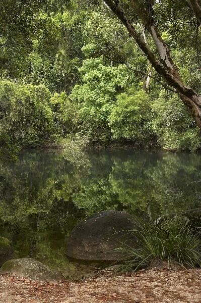 Australia. Golden Hole, Russell River, Bartle Frere, North Queensland, Australia