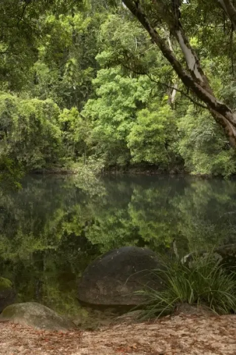 Framed Print : Australia. Golden Hole, Russell River, Bartle Frere, North Queensland, Australia