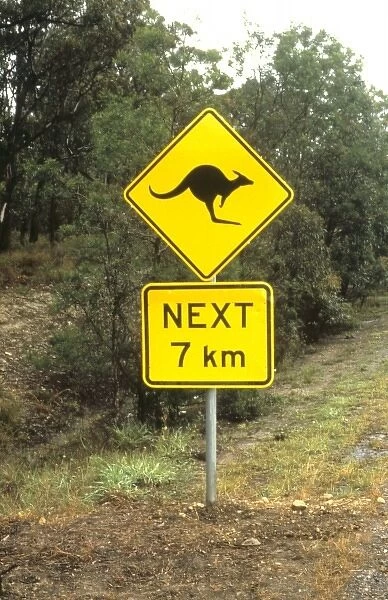 Australia. Sign warning of kangeroos crossing in Australia