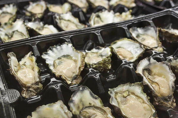Australia, New South Wales, NSW, Sydney, Sydney Fish Market, shelled oysters